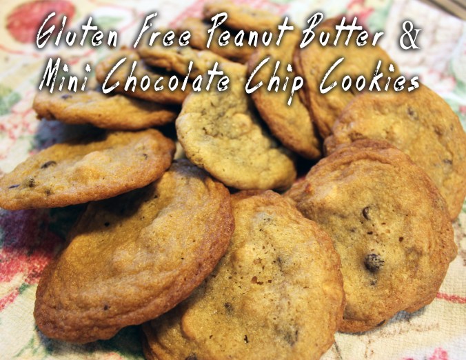 Cookies.PeanutButterChocolate
