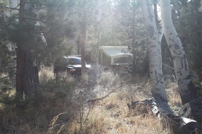 Camping in the Wilderness