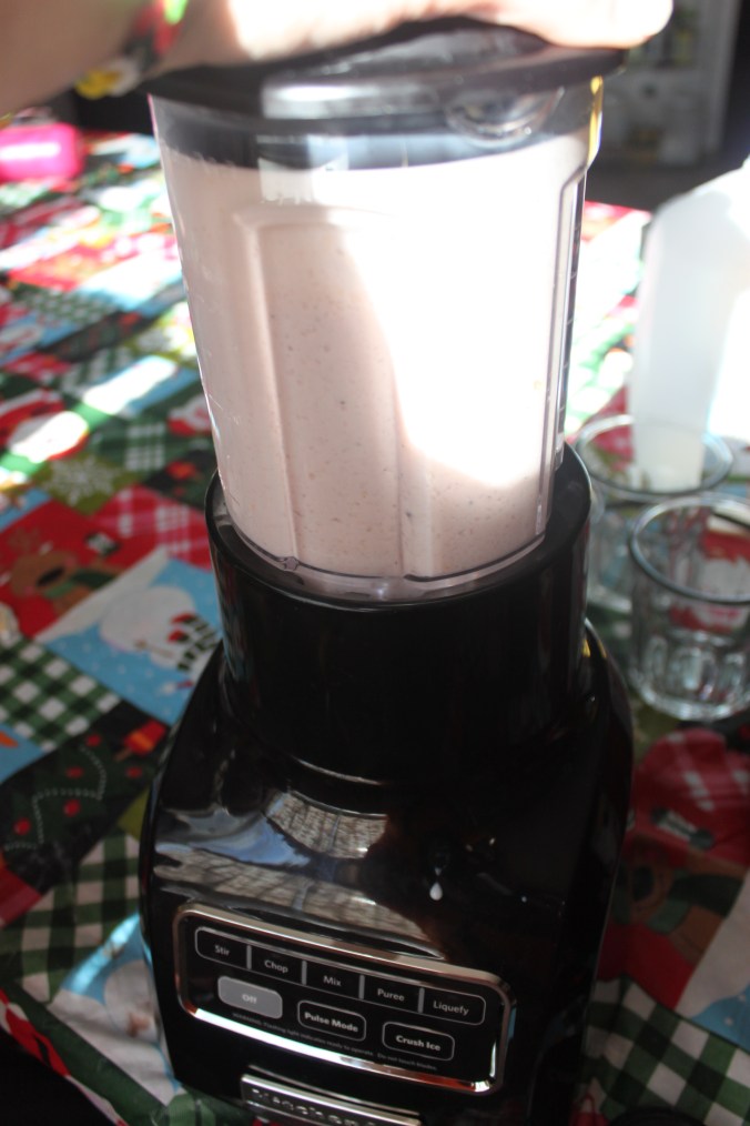 Fruit Smoothie | Small Town Living in Nevada