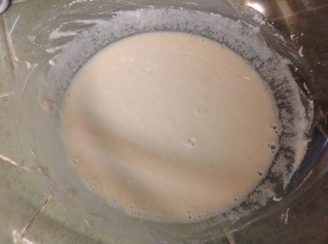 Gluten Free Sourdough Starter | Small Town Living in Nevada