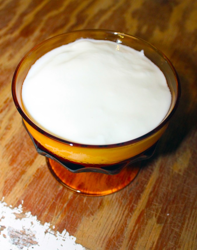 Homemade Yogurt | Small Town Living in Nevada