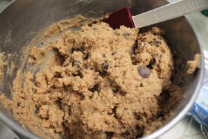 Gluten Free Chewy Cake | Small Town Living in Nevada