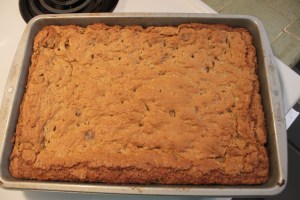 Gluten Free Chewy Cake | Small Town Living in Nevada