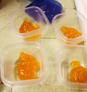 Jelly | Small Town Living in Nevada