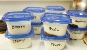 Yogurt Containers | Small Town Living in Nevada
