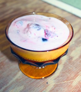Yogurt with Fruit | Small Town Living in Nevada