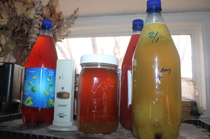 Water Kefir Soda | Small Town Living in Nevad