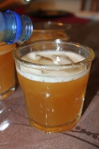 Water Kefir | Small Town Living in Nevada