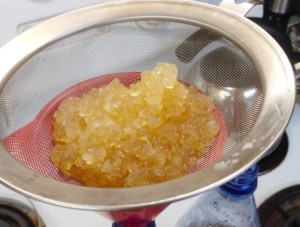 Kefir Grains