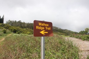 Waihee Ridge Trail