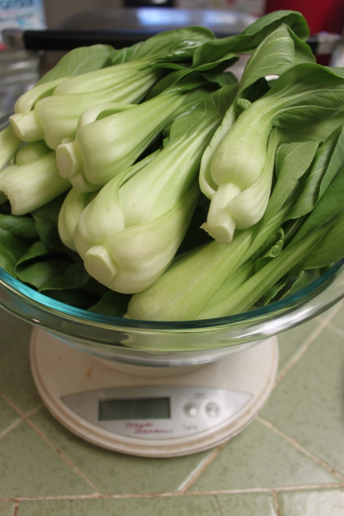 Sautéed Bok Choy Recipe | Small Town Living in Nevada