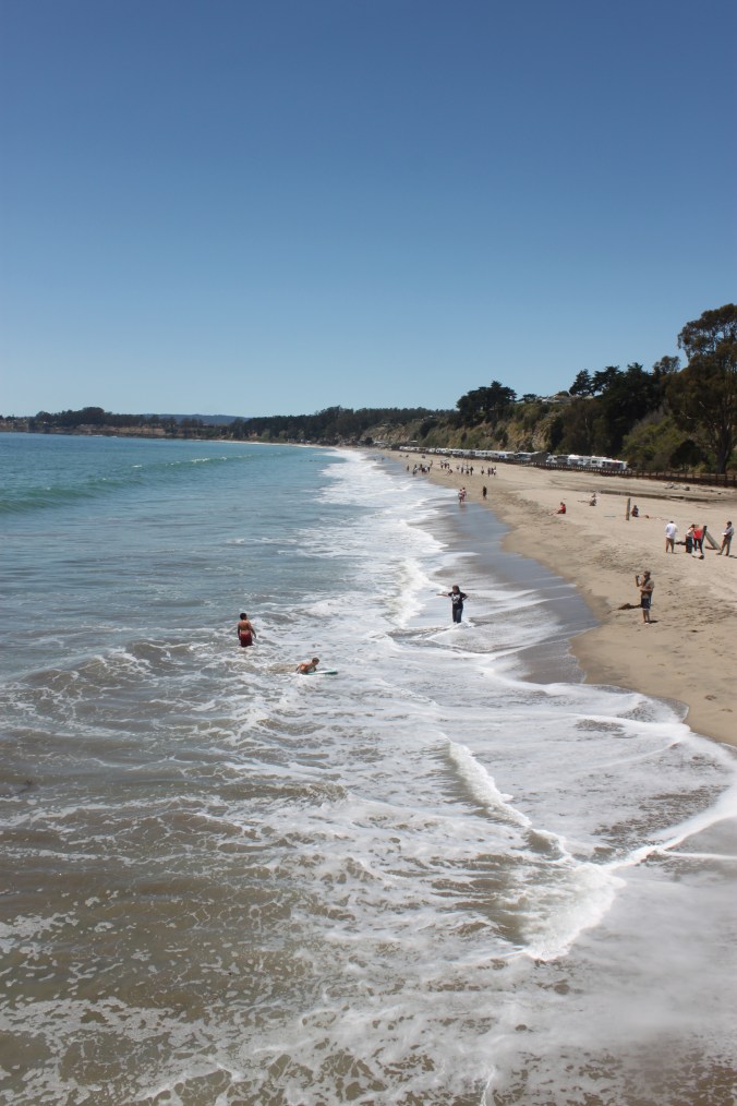 Seacliff Beach
