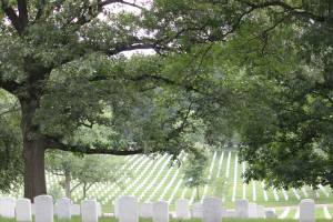 11224508_10205709380267764_7724176276061233681_o