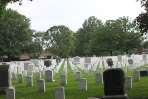 11707770_10205709381747801_6337003904612401340_o