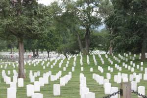 11707859_10205709380147761_1412585878794111889_o