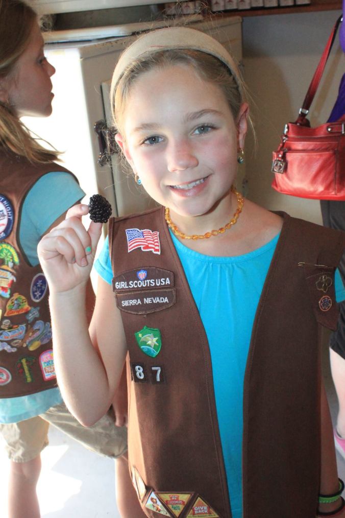 Black Berries from Jacobs Berry Farm