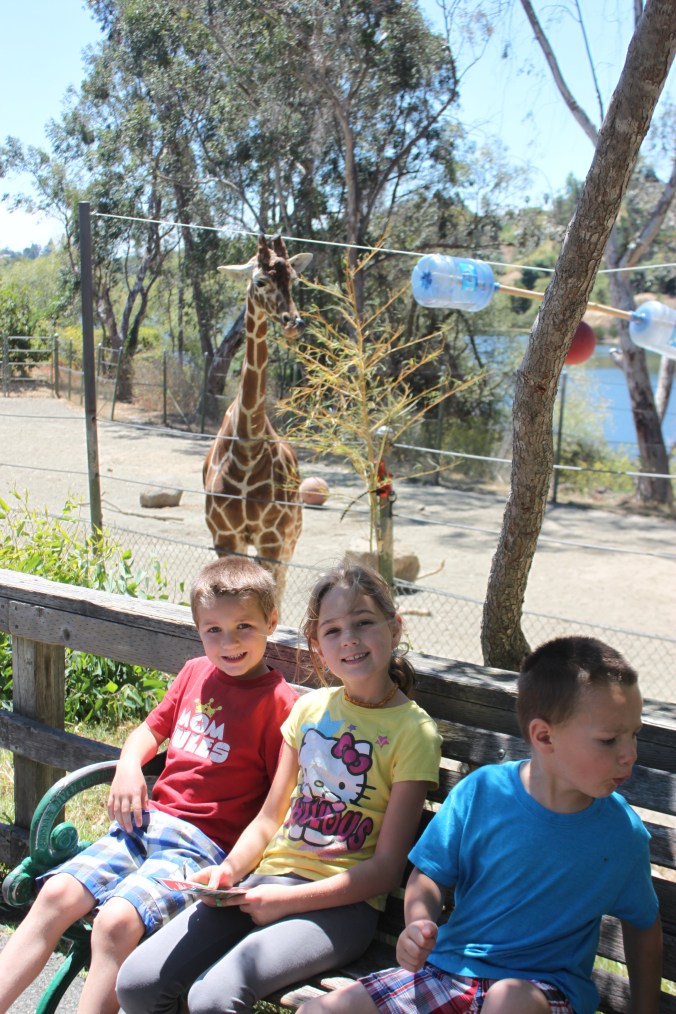 Six Flags: Discovery Kingdom