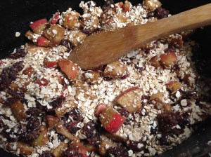 Apple Cranberry Crockpot Oatmeal | Small Town Living in Nevada