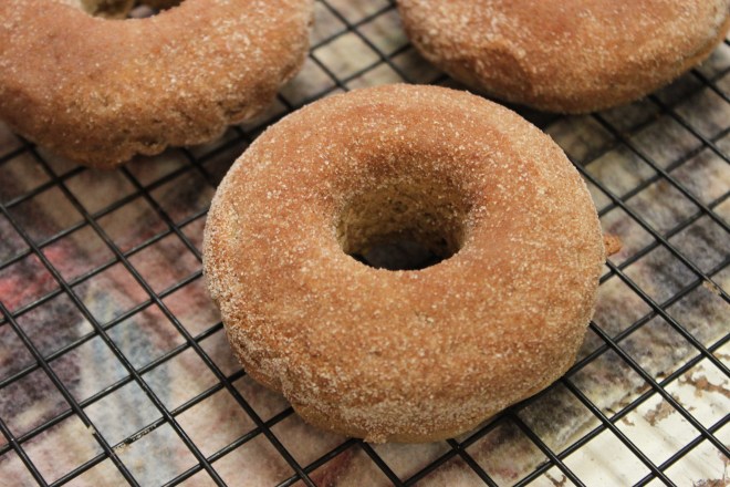 Gluten Free Apple Cider Doughnuts | Small Town Living in Nevada