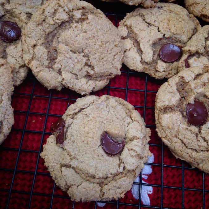 Gluten Free Dark Chocolate Chip Cookies