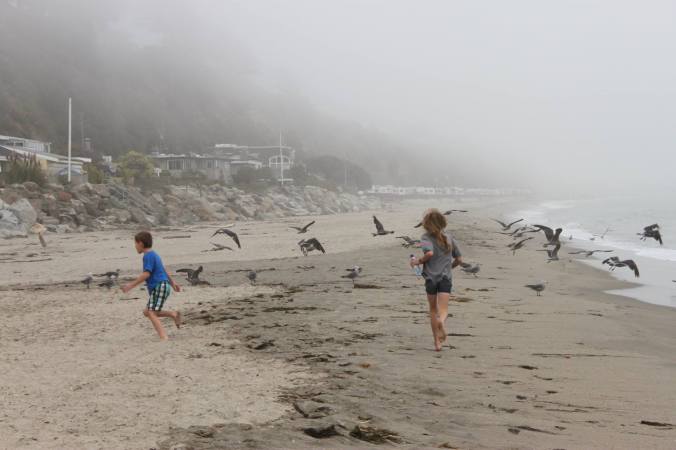 12593585_10208370184146198_3019433086609056506_o