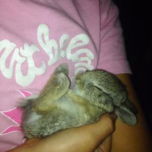 13332827_10207968411702138_6101829135946033054_n