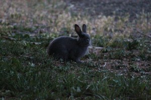 13415576_10208018666358473_2575372793397428248_o