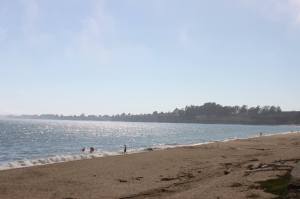 13734902_10208370189626335_6007107747038045203_o