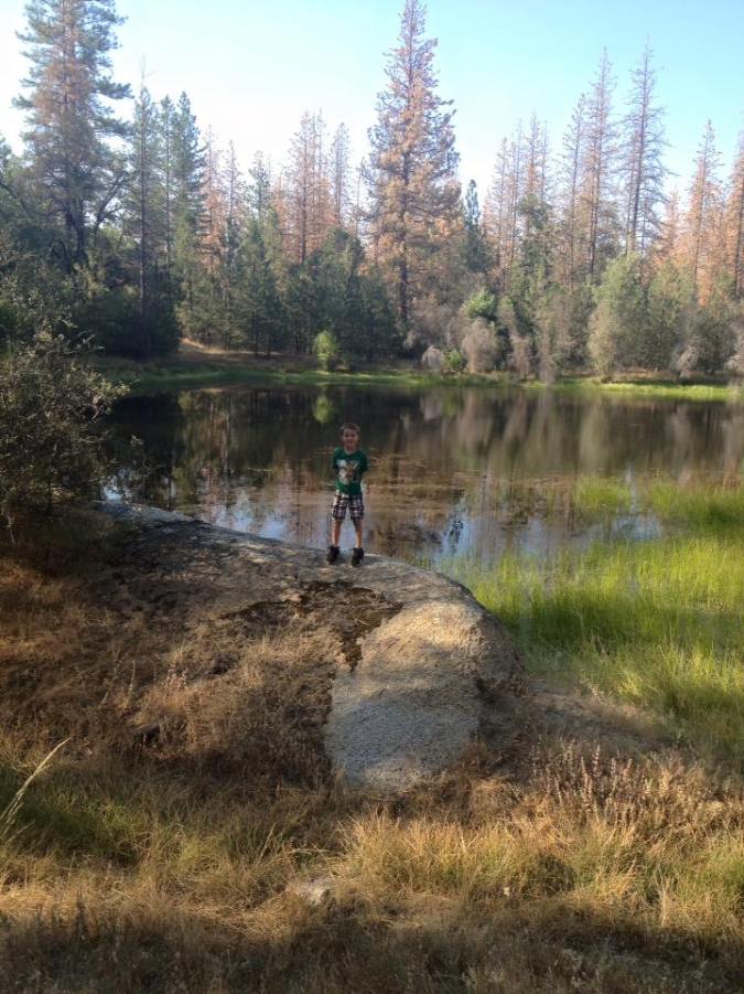 13892233_10208422628657278_8044231249433424468_n