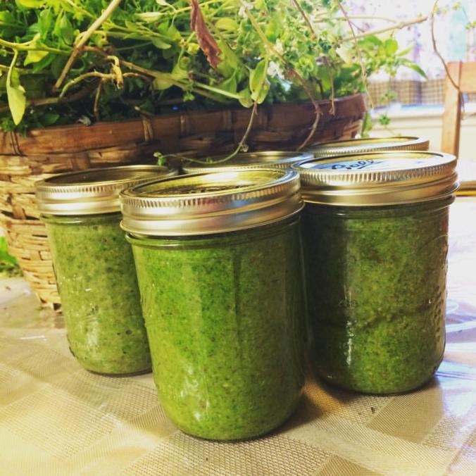 14753947_10209139194130967_4321237313665104895_o