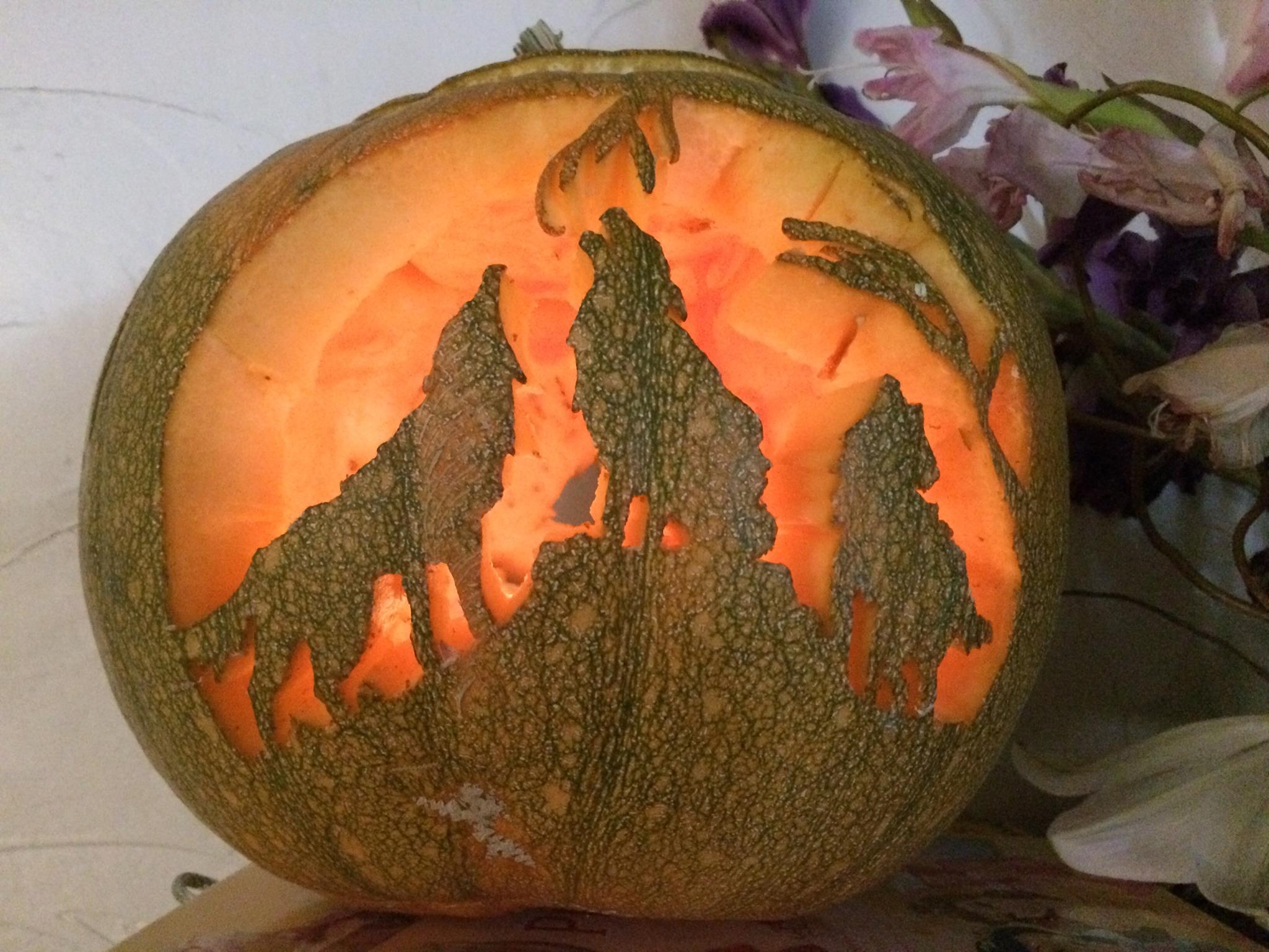 14889977_10209189035376967_7948639154383288191_o