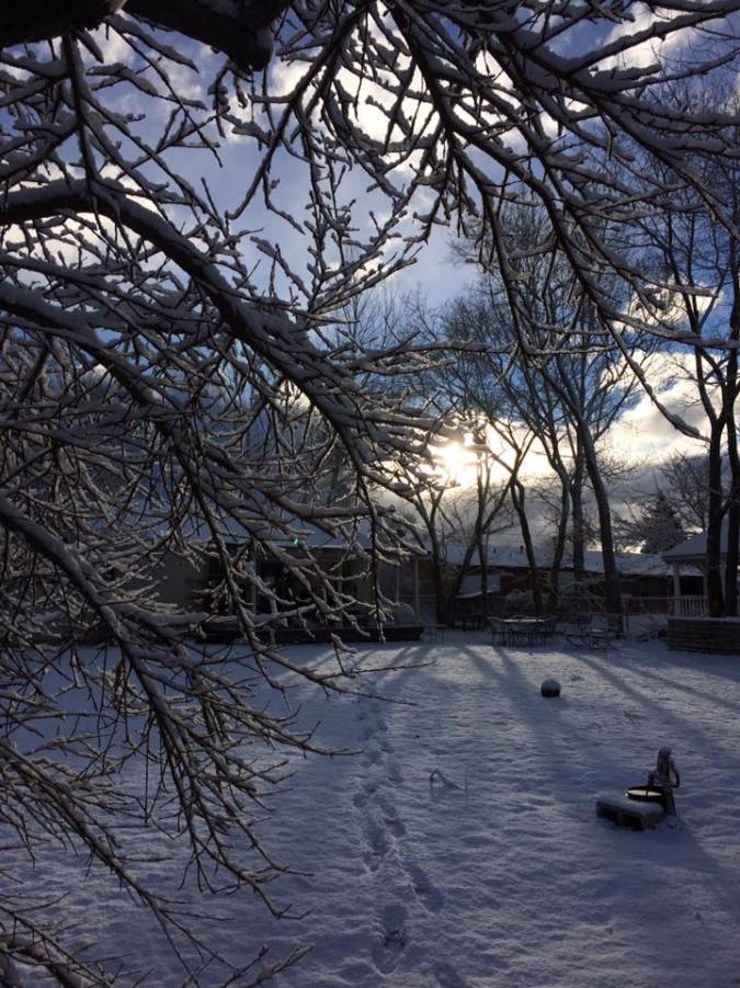 15193589_10209426932324242_573274920607272160_n